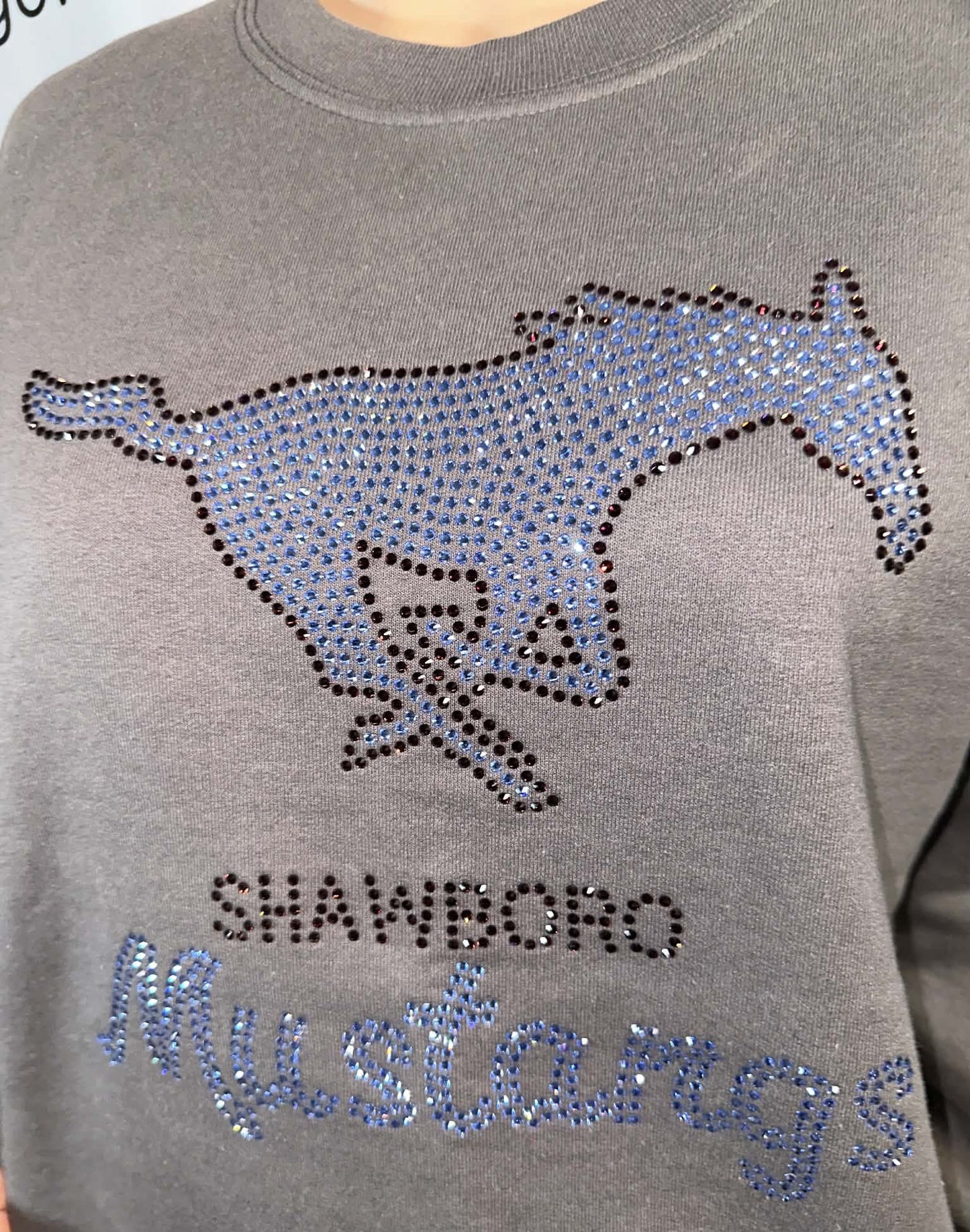 Shawboro Mustangs Crewneck Unisex (Sample)