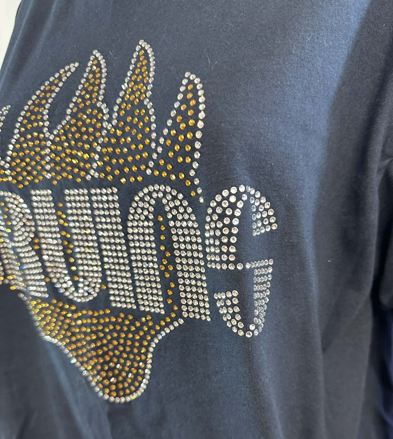 Bruins Large Paw Short Sleeve Unisex (Sample)