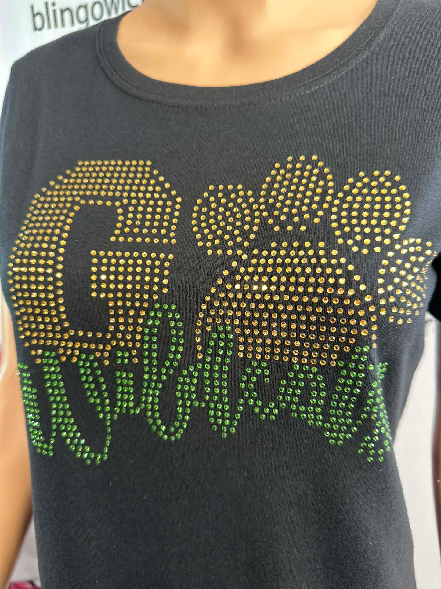 GB Go Wildcats Short Sleeve Womens Fitted (Sample)