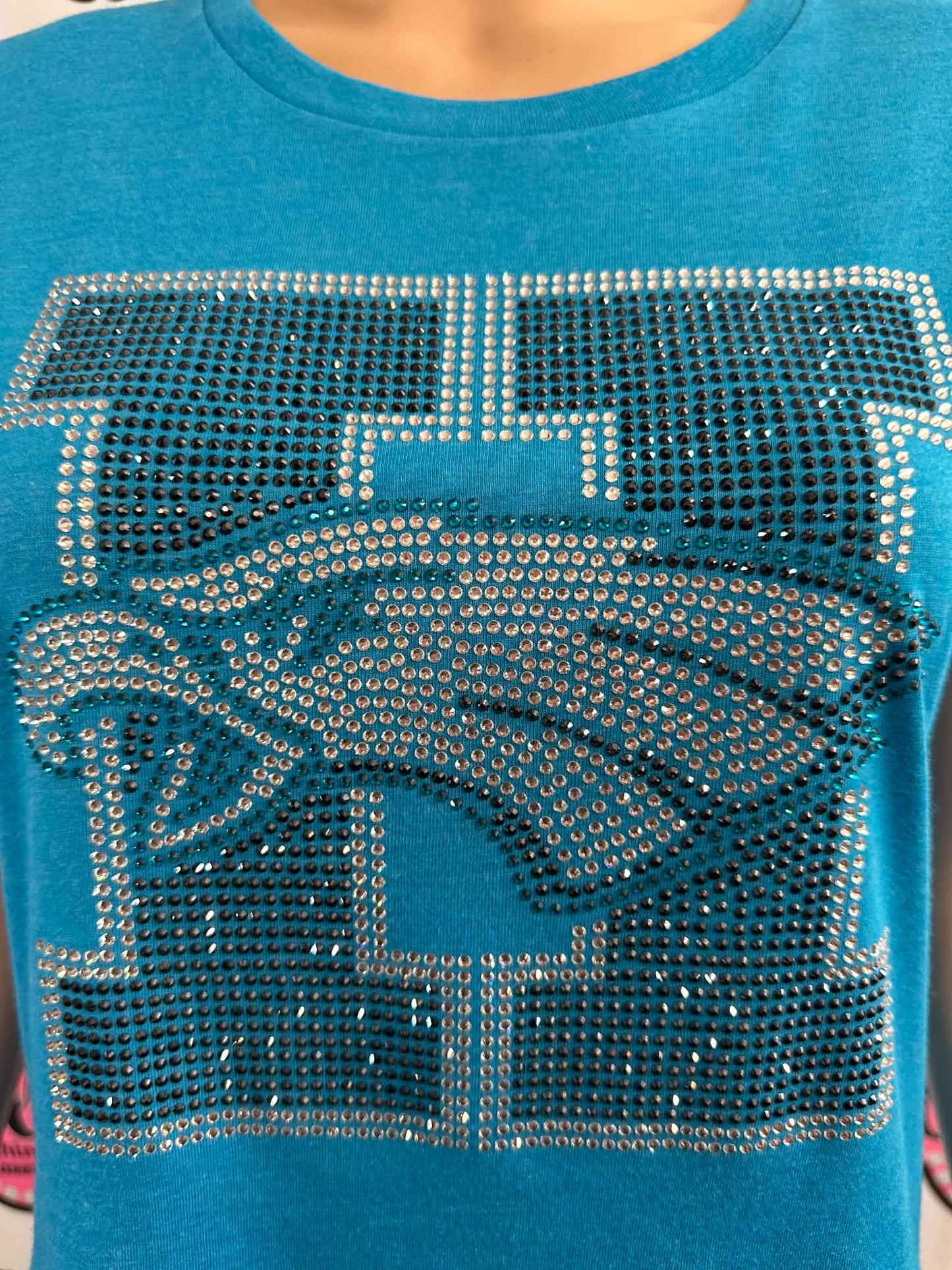 Hawks Head 2 Womens Fitted Tshirt (Sample)