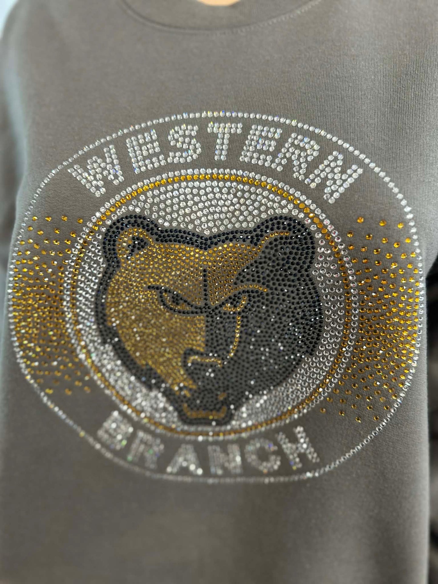 WB Bruins Circle Crewneck Unisex (Sample)