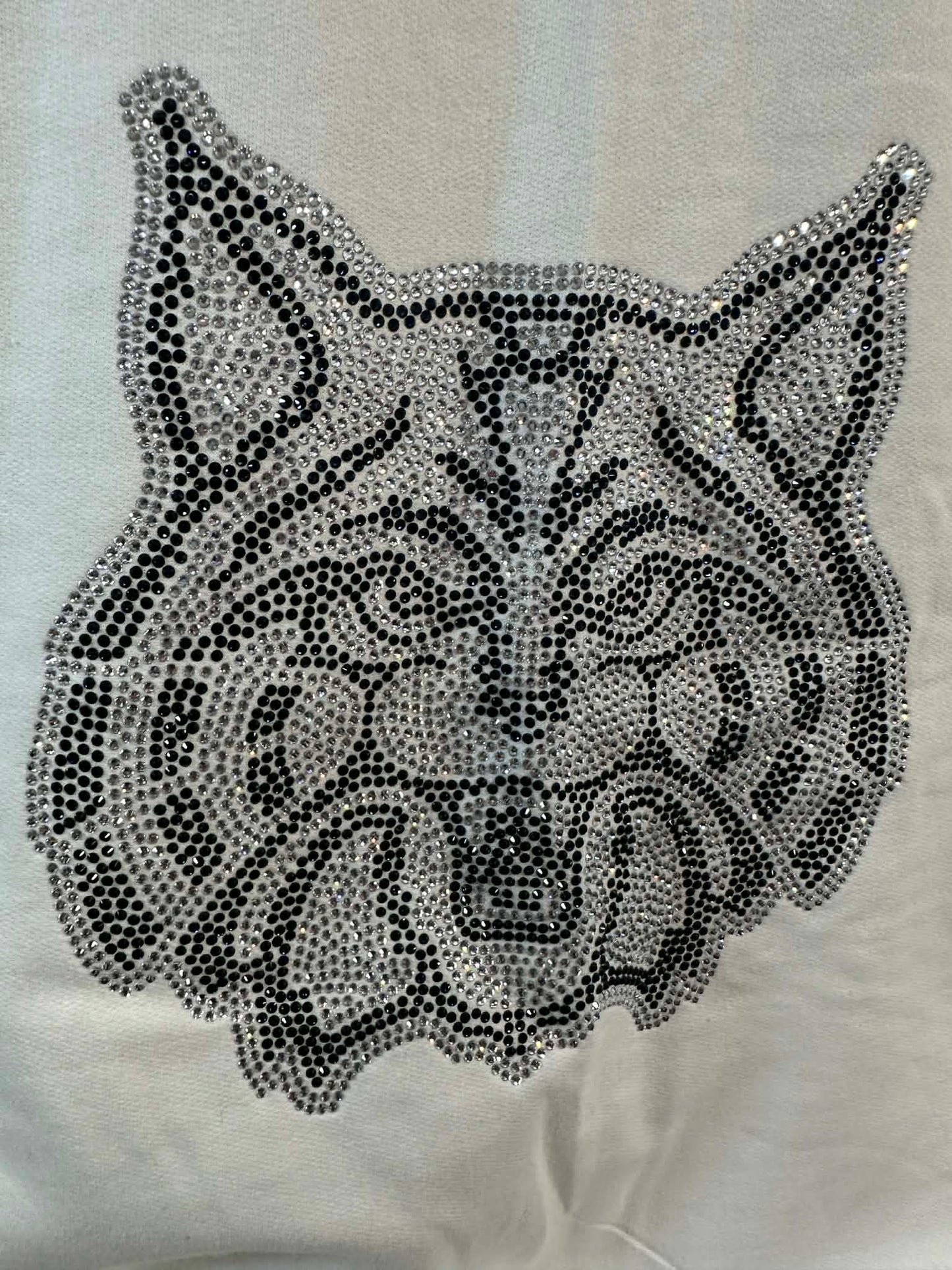 Wildcats Sweatshirt Unisex (Sample)