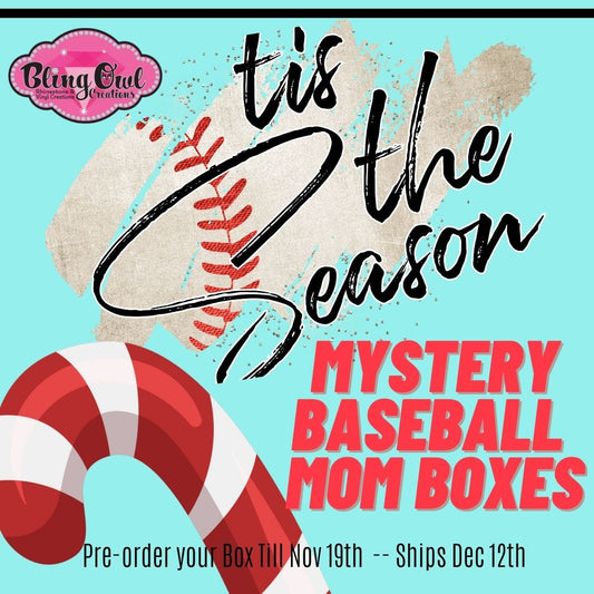 baseball_mom mystery boxes christmas gift ideas