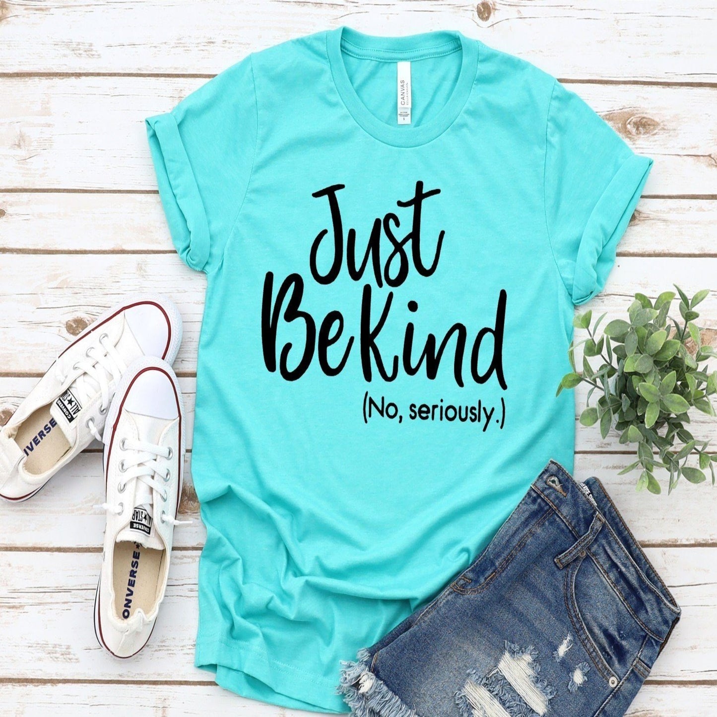 just_be_kind_seriously specialty tee comfortable tshirt casual tops everyday shirt