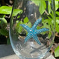 Starfish Stemless Wine Glass